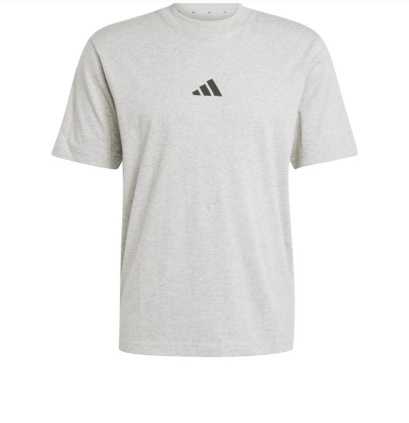 Gri Kısa Kollu Erkek Tişört - Görsel 2