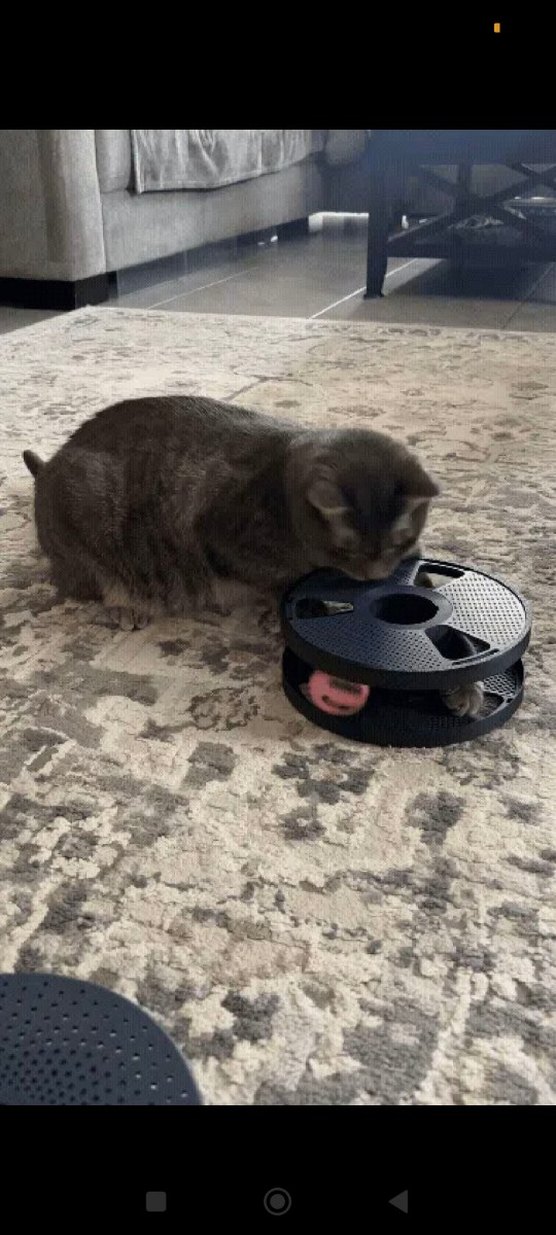 Gri Kedi Oyuncağı Toplu Döner Oyun Seti - Görsel 3