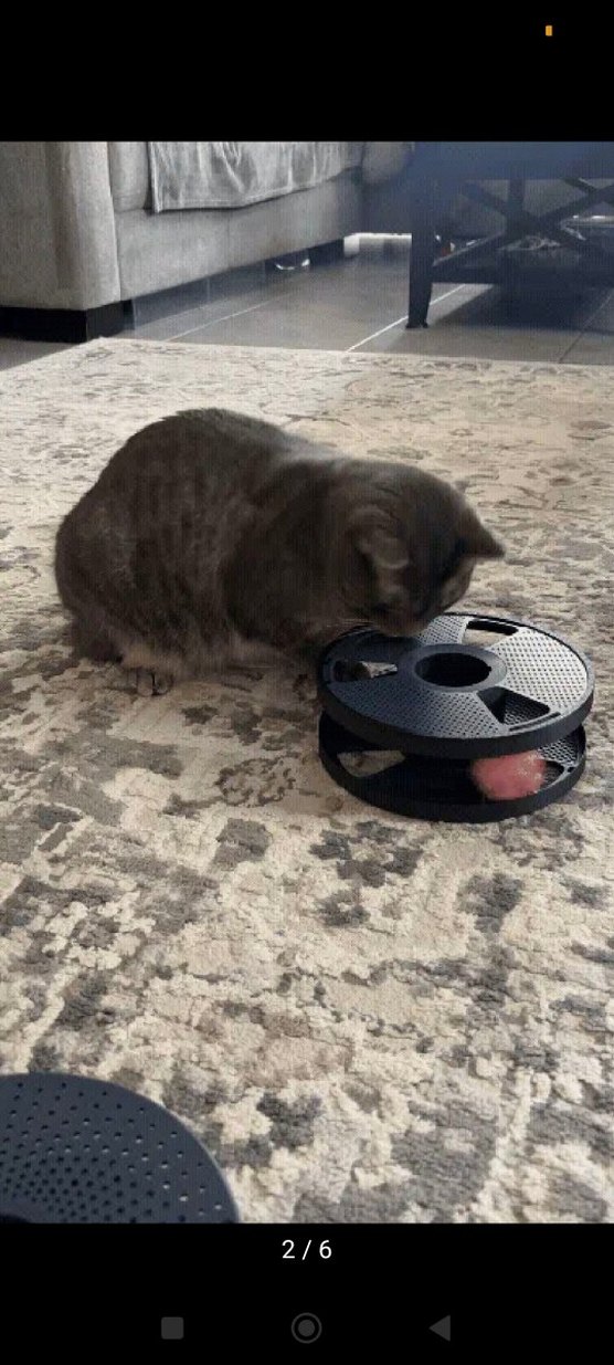 Gri Kedi Oyuncağı Toplu Döner Oyun Seti - Görsel 2