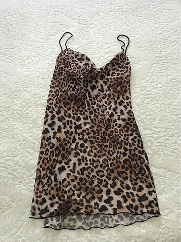 Leopar gecelik