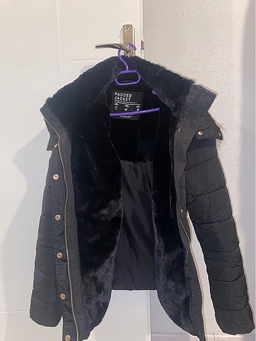 Stradivarius mont