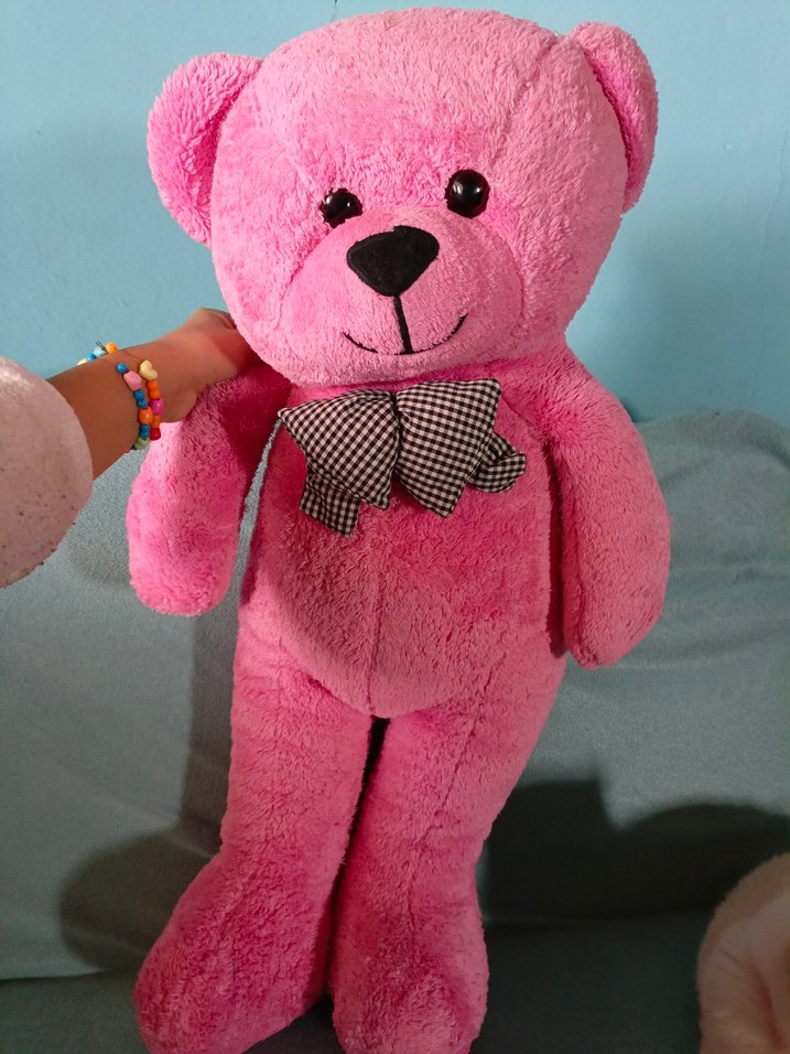 Pembe Peluş Oyuncak Ayı - Görsel 4