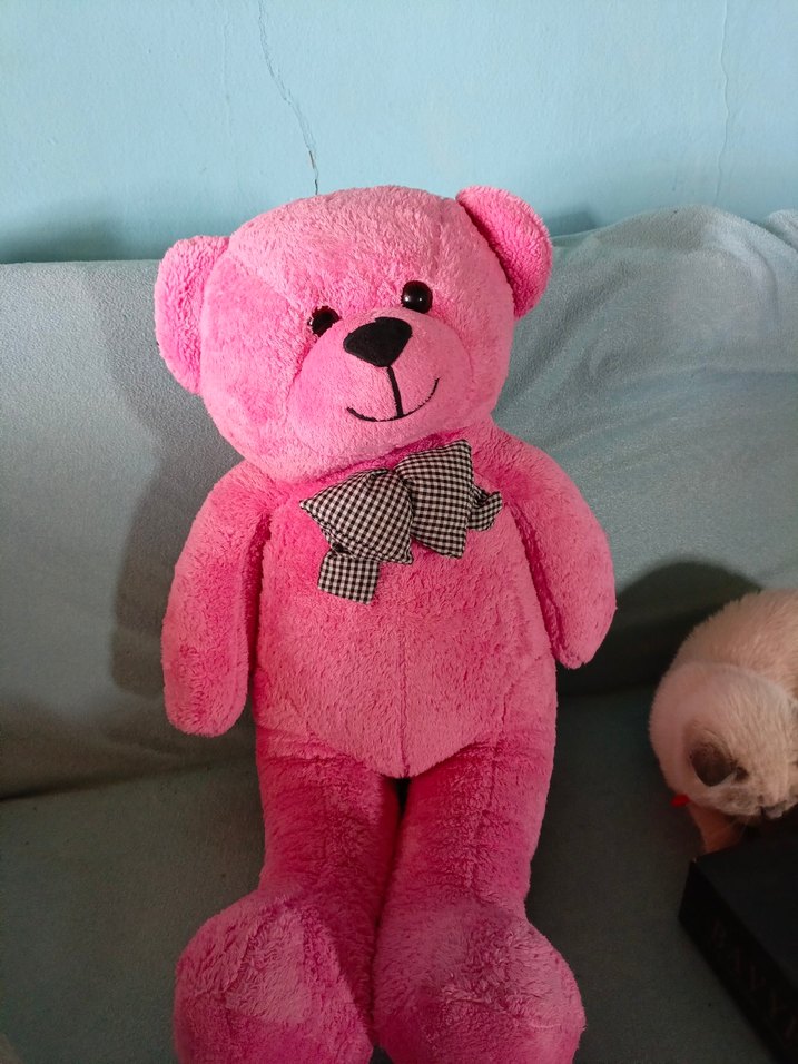 Pembe Peluş Oyuncak Ayı - Görsel 3