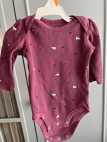 5li Carters body