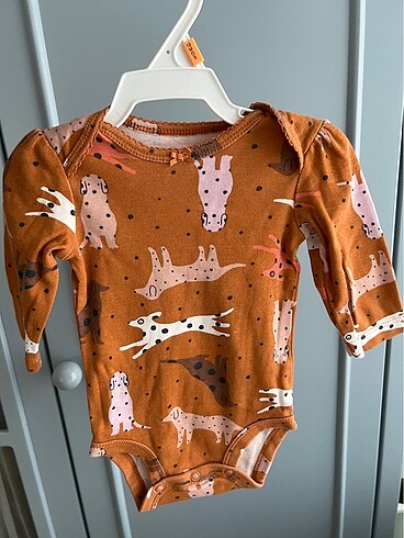 Carter's 5li Carters body