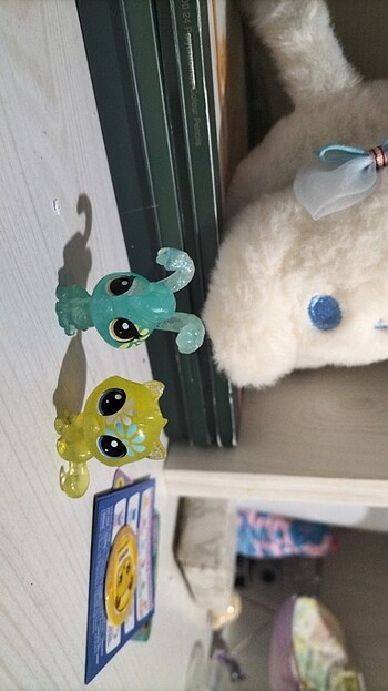 Lps 2'li miniş seti (çiçek serisi)