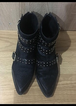 37 numara stradivarius bot