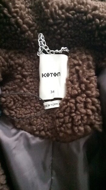 Kahverengi kaban  - Görsel 2