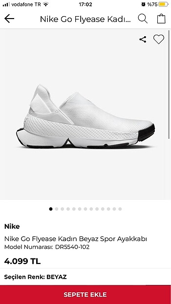 Nike go flyease kadın spor ayakkabı