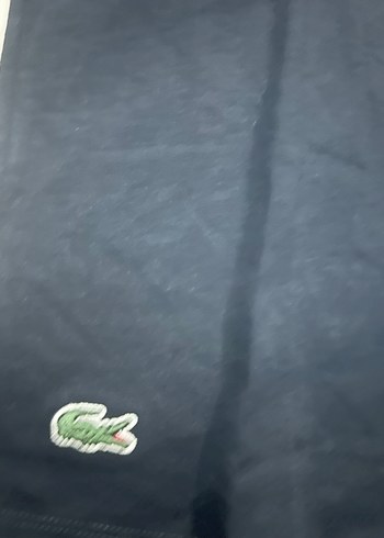 Lacoste m beden Siyah Baskılı Erkek Tişört - Görsel 2