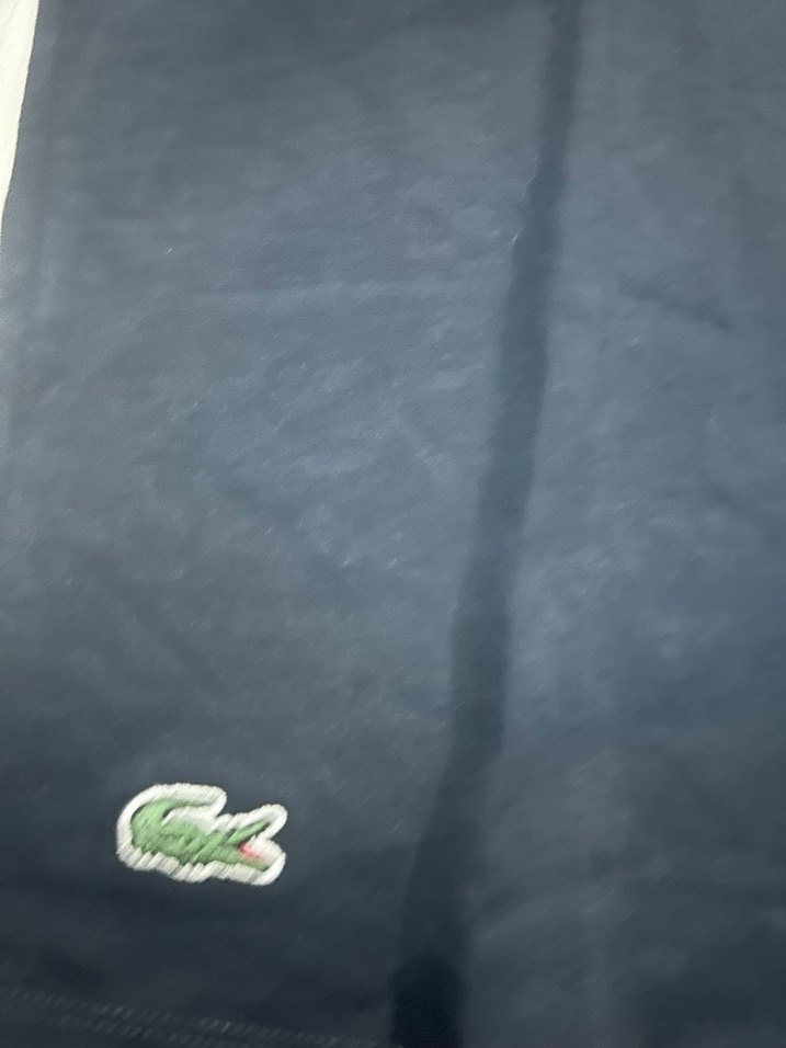Lacoste m beden Siyah Baskılı Erkek Tişört - Görsel 2
