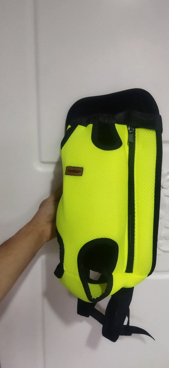 Açık Yeşil Renk Kedi Ana Kucağı Temiz - Görsel 2