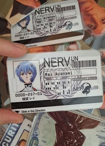 Nerv Un Rei Ayanami Kimlik 
