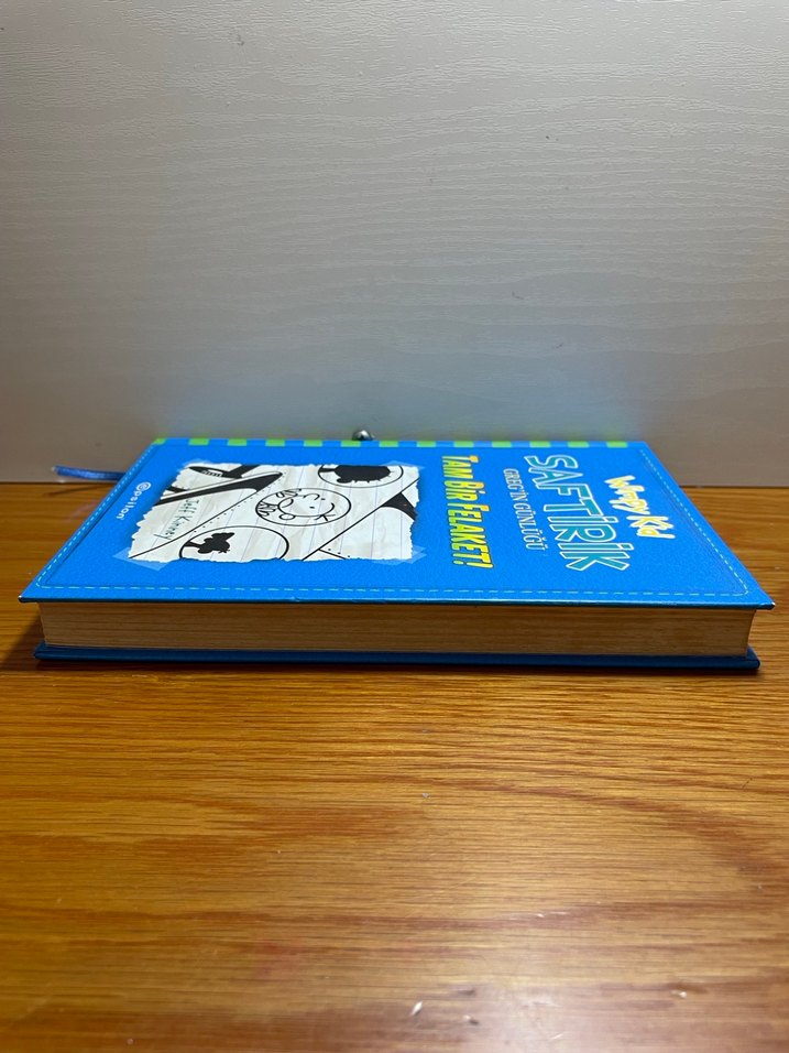 Saftirik Greg'in Günlüğü: Tam Bir Felaket - Görsel 4