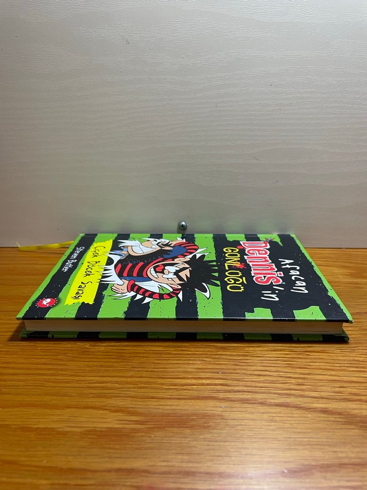 Afacan Dennis'in Günlüğü - Çiçek Böcek Savaşı - Görsel 4