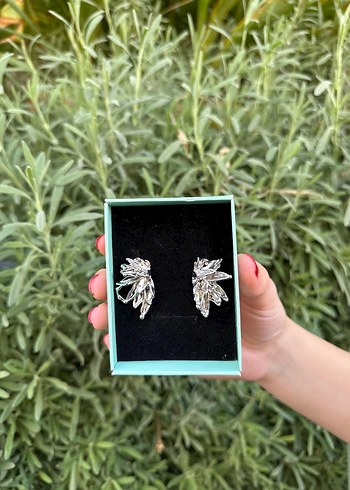 Silver Küpe - Görsel 2