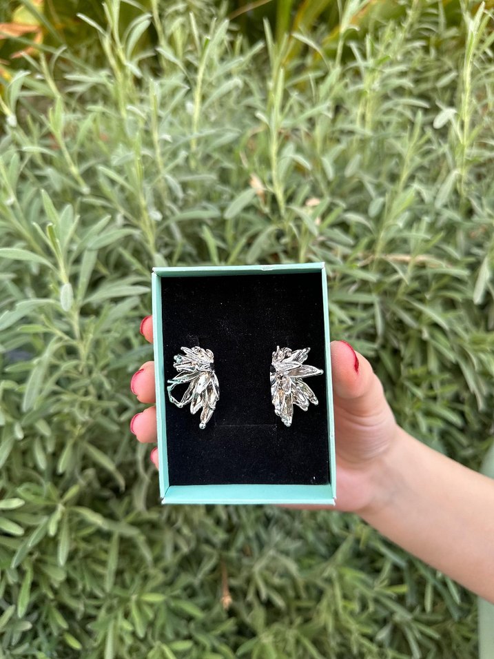 Silver Küpe - Görsel 2