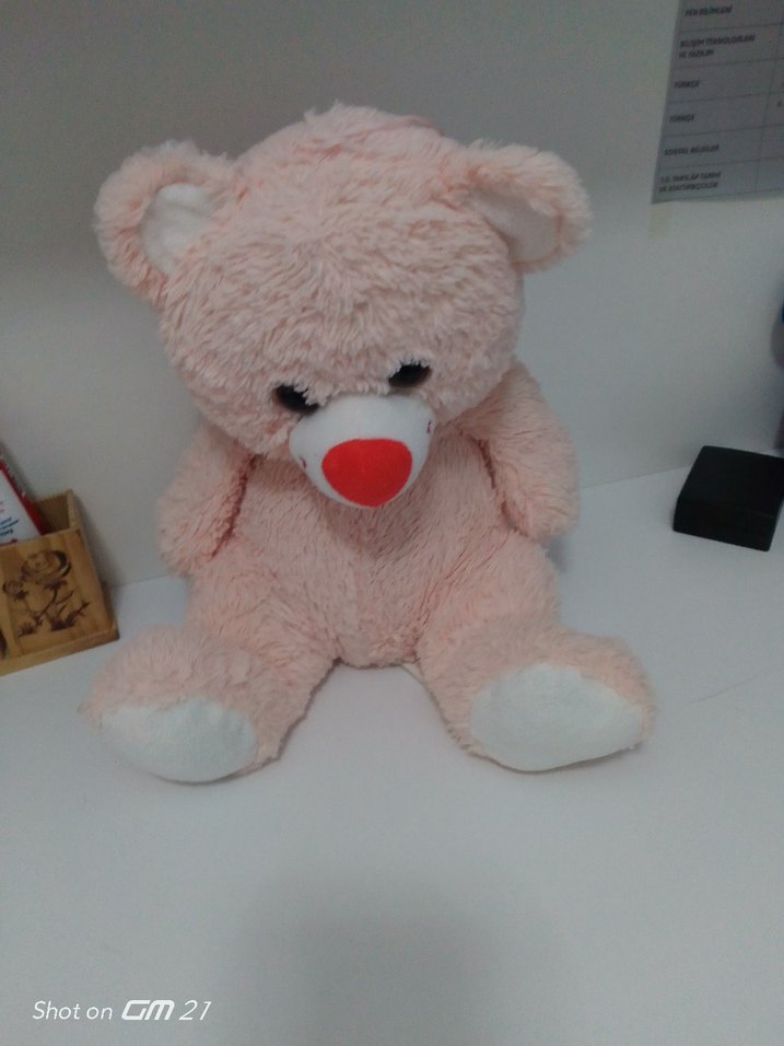 Pastel Pembe Peluş Ayıcık Oyuncak - Görsel 2