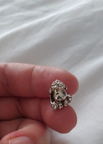 Koyun charm