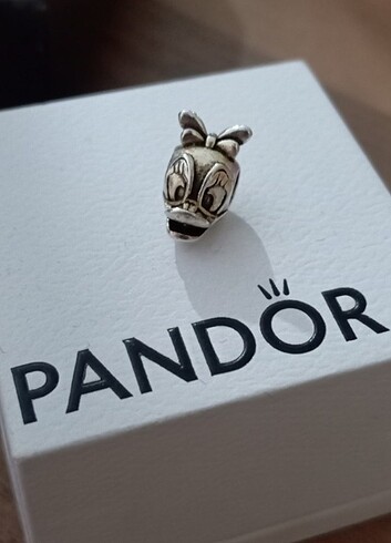 Pandora Pandora charm