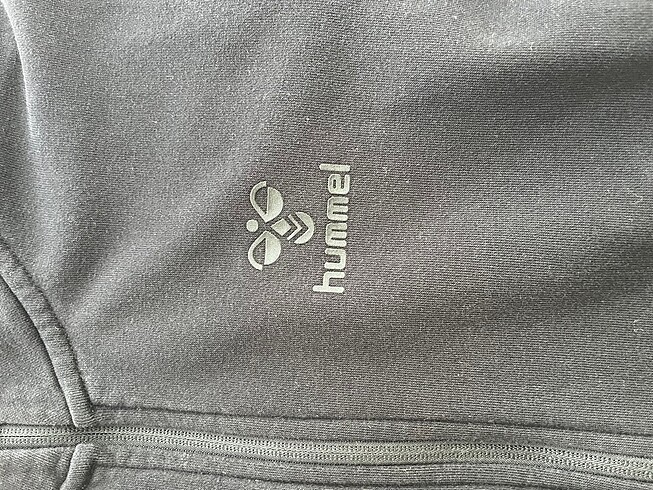 s Beden hummel hirka