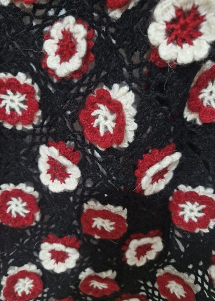 El örgüsü şal - Görsel 2