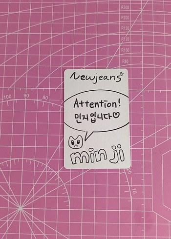 Nars minji pc