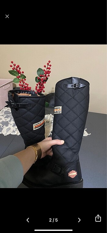 Harley Davidson Harley çizme