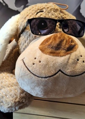 Bej Rengi Peluş Köpek Oyuncak - Görsel 9