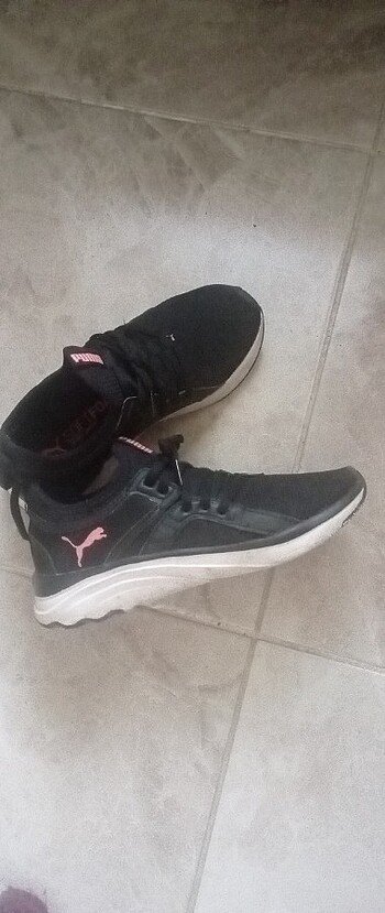 Puma puma rahat