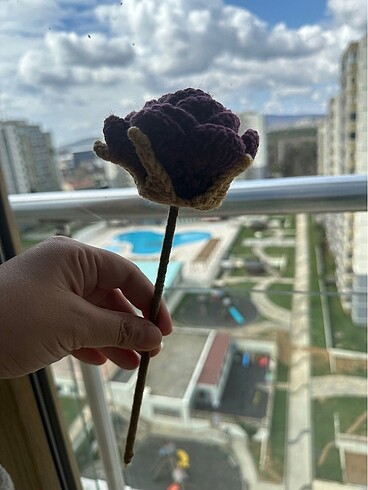 El örgüsü taç yapraklı iri güller - Görsel 4