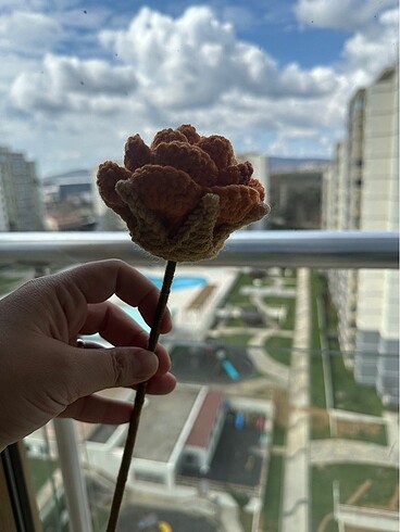 El örgüsü taç yapraklı iri güller - Görsel 5