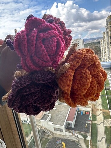 El örgüsü taç yapraklı iri güller - Görsel 7