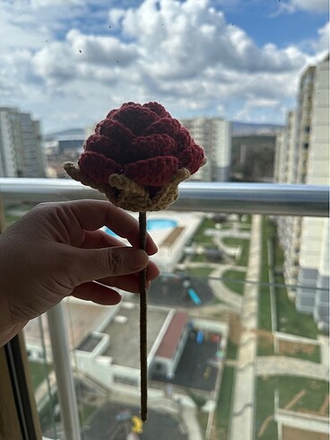 El örgüsü taç yapraklı iri güller - Görsel 9