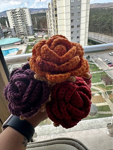 El örgüsü taç yapraklı iri güller - Görsel 8