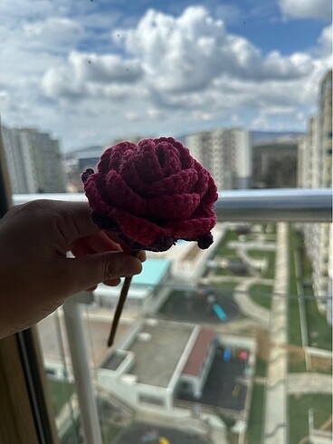 El örgüsü taç yapraklı iri güller - Görsel 12