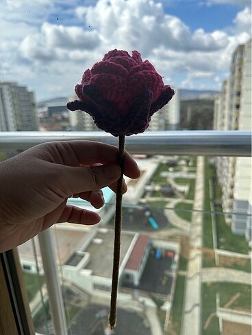 El örgüsü taç yapraklı iri güller - Görsel 13