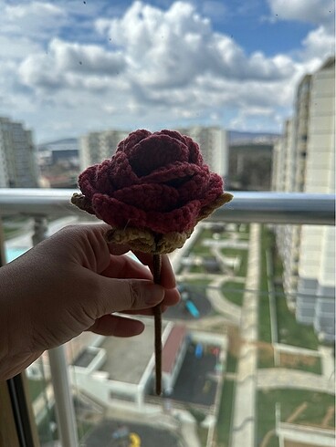 El örgüsü taç yapraklı iri güller - Görsel 14