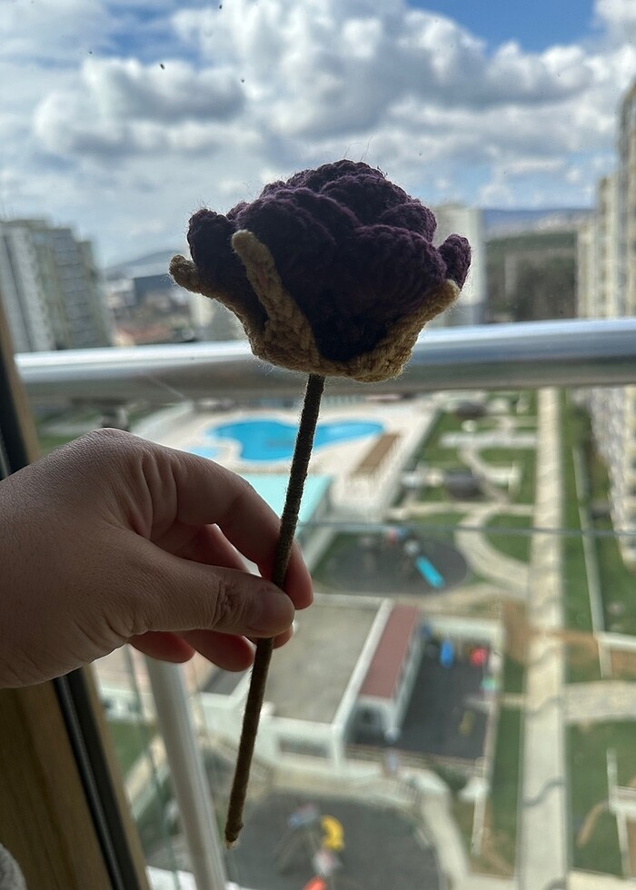 El örgüsü taç yapraklı iri güller - Görsel 4