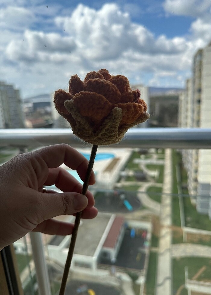 El örgüsü taç yapraklı iri güller - Görsel 5