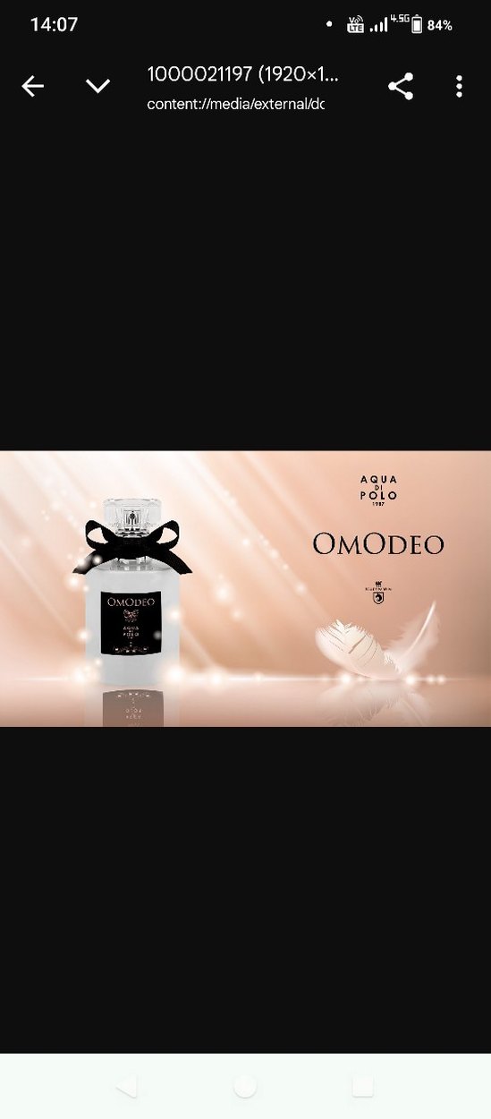 Omodeo Aqua Di Polo Kadın Parfümü 50 ml - Görsel 4