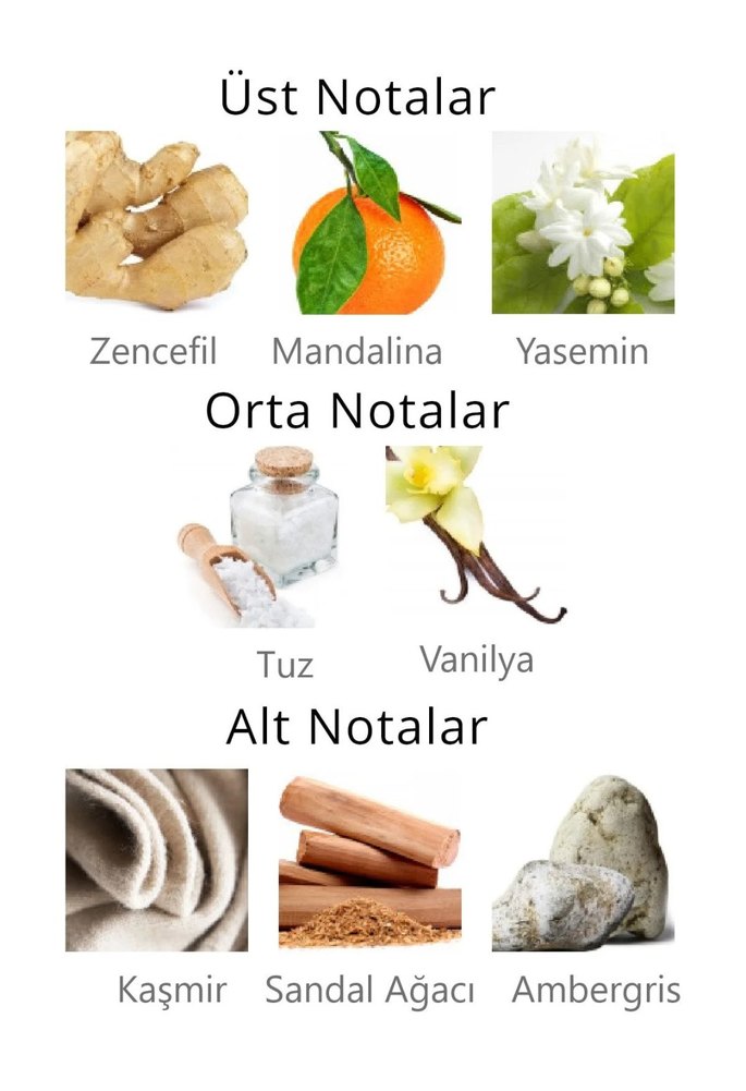 Omodeo Aqua Di Polo Kadın Parfümü 50 ml - Görsel 2