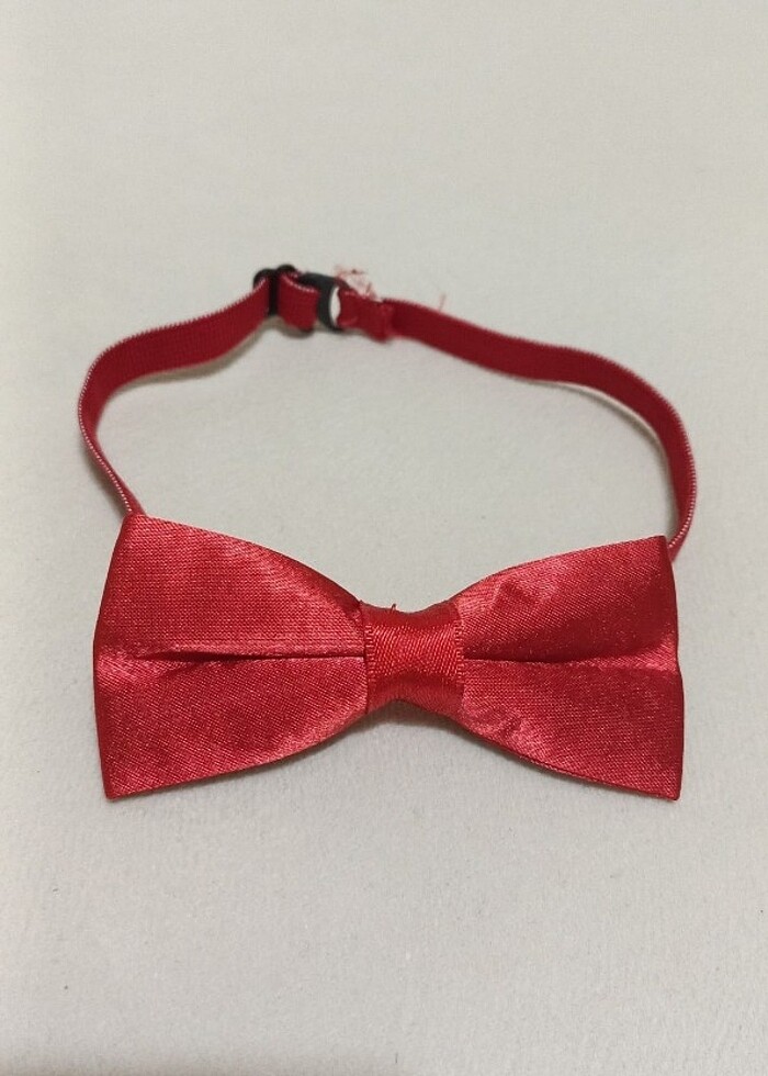 Çocuk papyon adet 50 tl - Görsel 2