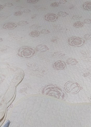 Krem Pastel Desenli Yatak Örtüsü bikac defa serildi   sıfır gibi - Görsel 2