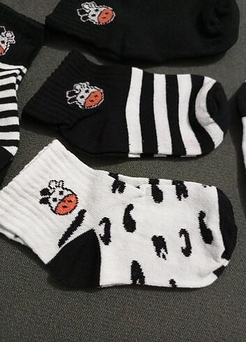 5 Adet İnek Desenli Çocuk Çorap 3-4 yaş - Görsel 3