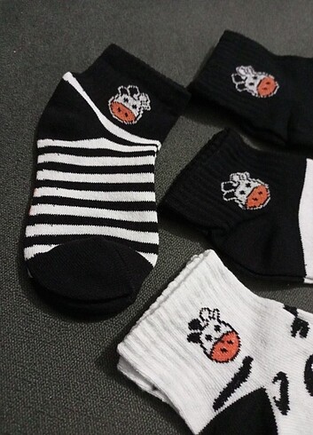 5 Adet İnek Desenli Çocuk Çorap 3-4 yaş - Görsel 4