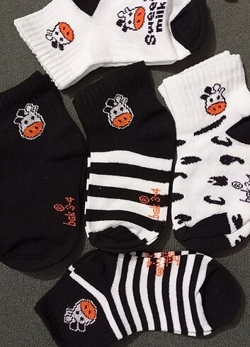 5 Adet İnek Desenli Çocuk Çorap 3-4 yaş - Görsel 5
