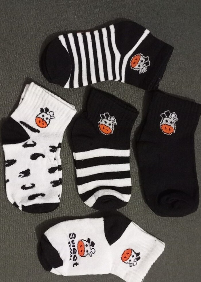 5 Adet İnek Desenli Çocuk Çorap 3-4 yaş - Görsel 2