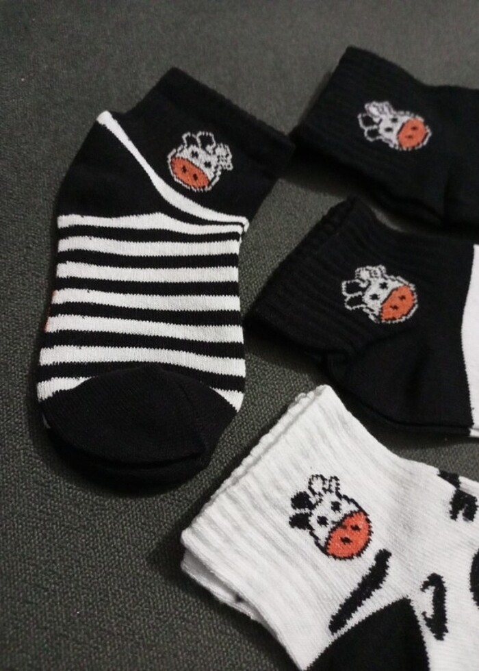5 Adet İnek Desenli Çocuk Çorap 3-4 yaş - Görsel 4