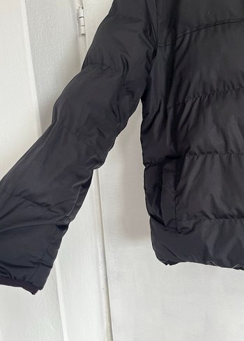 The North Face Gri Fermuarlı Erkek Mont - Görsel 4